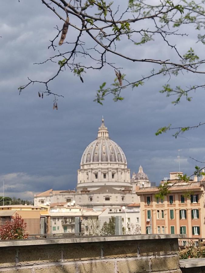 Vatican Heart Leone - Terrace *